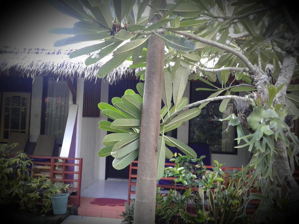 Melati Garden Guesthouse Quần đảo Gili Ngoại thất bức ảnh