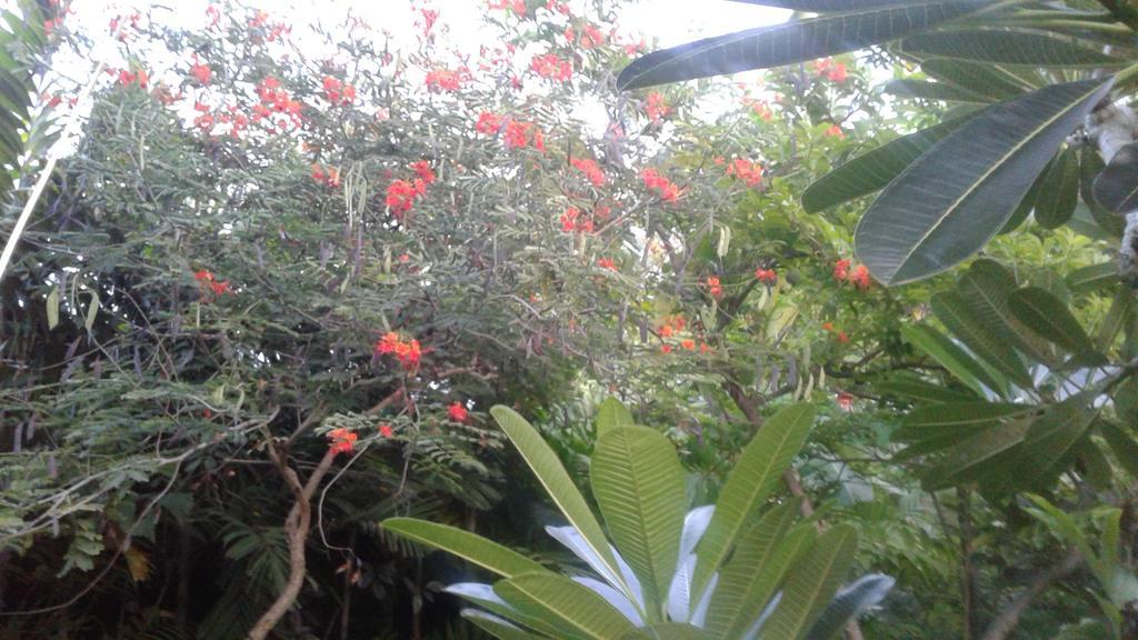 Melati Garden Guesthouse Quần đảo Gili Ngoại thất bức ảnh